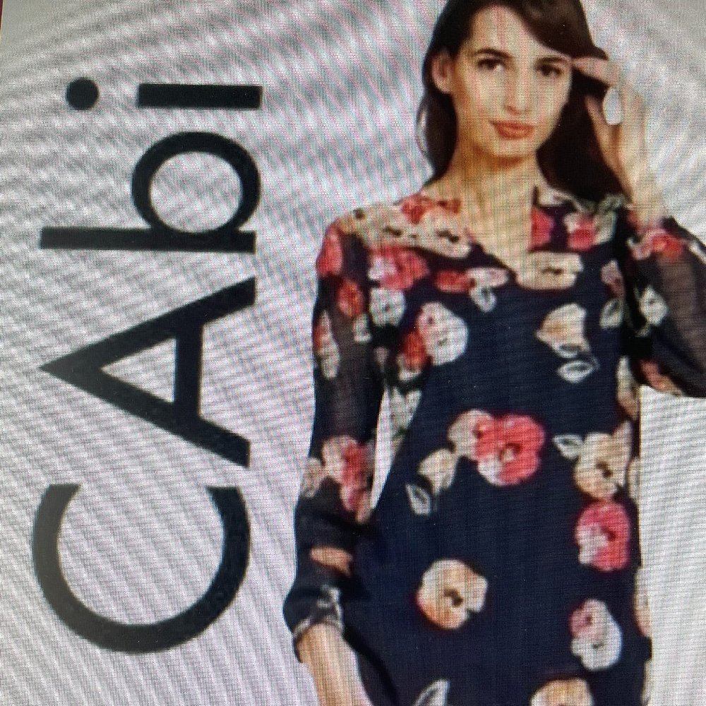 CAbi #971 Poppy Floral Chiffon Semi Sheer Blouse • XL